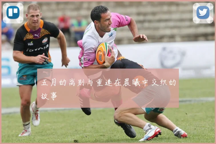 五月的离别与重逢在晨曦中交织的故事